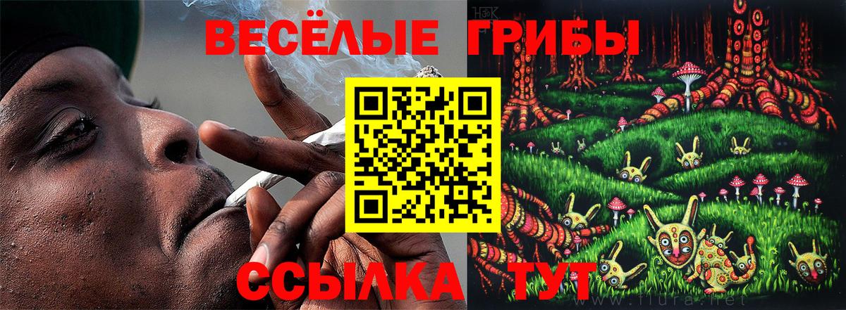 Галлюциногенные грибы Magic Shrooms Москва